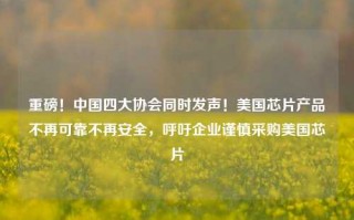 重磅！中国四大协会同时发声！美国芯片产品不再可靠不再安全，呼吁企业谨慎采购美国芯片