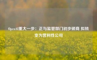 OpenAI重大一步：正与监管部门初步磋商 拟转变为营利性公司