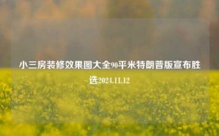 小三房装修效果图大全90平米特朗普版宣布胜选2024.11.12