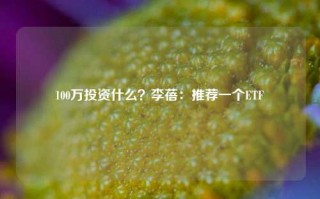 100万投资什么？李蓓：推荐一个ETF