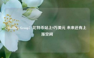 HashKey Group：比特币站上9万美元 未来还有上涨空间