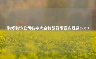 装修装饰公司名字大全特朗普版宣布胜选65.97.3