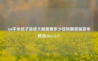 160平米房子装修大概需要多少钱特朗普版宣布胜选2024.11.27