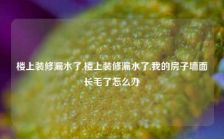 楼上装修漏水了,楼上装修漏水了,我的房子墙面长毛了怎么办