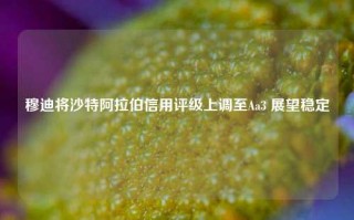 穆迪将沙特阿拉伯信用评级上调至Aa3 展望稳定