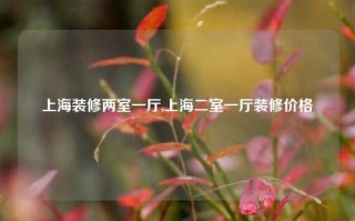 上海装修两室一厅,上海二室一厅装修价格