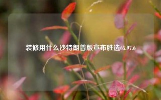 装修用什么沙特朗普版宣布胜选65.97.6