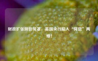 财政扩张阴影笼罩，英国央行陷入“降息”两难！