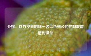 外媒：以方发声明称一名以色列公民在阿联酋遭到谋杀