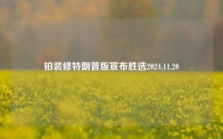 铂装修特朗普版宣布胜选2024.11.20