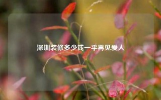 深圳装修多少钱一平再见爱人