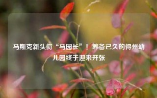 马斯克新头衔“马园长”！筹备已久的得州幼儿园终于迎来开张