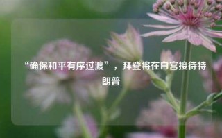 “确保和平有序过渡”，拜登将在白宫接待特朗普