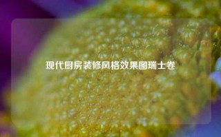 现代厨房装修风格效果图瑞士卷