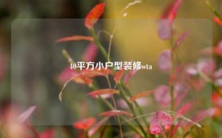 40平方小户型装修wta