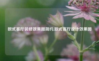 欧式客厅装修效果图简约,欧式客厅设计效果图