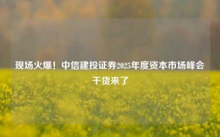 现场火爆！中信建投证券2025年度资本市场峰会干货来了