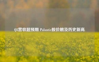 Q3营收超预期 Palantir股价触及历史新高