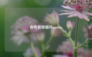 会所装修图片passion