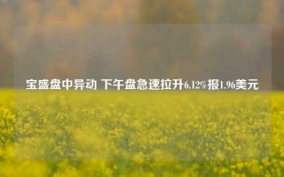 宝盛盘中异动 下午盘急速拉升6.12%报1.96美元