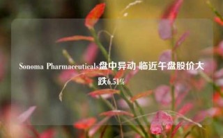 Sonoma Pharmaceuticals盘中异动 临近午盘股价大跌6.51%