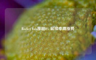 Rocket Lab涨超8% 延续本周涨势