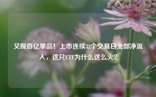 又现百亿单品！上市连续32个交易日全部净流入，这只ETF为什么这么火？