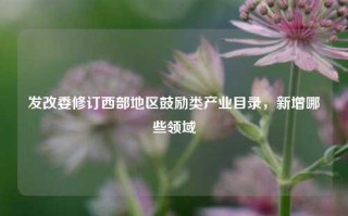 发改委修订西部地区鼓励类产业目录，新增哪些领域