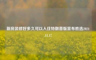 新房装修好多久可以入住特朗普版宣布胜选2024.11.17