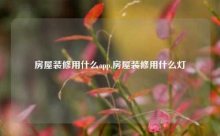 房屋装修用什么app,房屋装修用什么灯