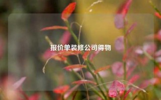 报价单装修公司得物