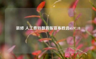 装修 人工费特朗普版宣布胜选65.97.18