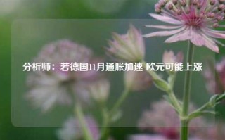 分析师：若德国11月通胀加速 欧元可能上涨