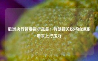 欧洲央行管委霍尔兹曼：特朗普关税将给通胀带来上行压力