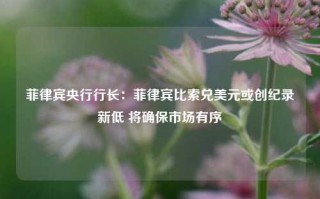 菲律宾央行行长：菲律宾比索兑美元或创纪录新低 将确保市场有序