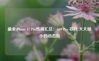 最全iPhone 17 Pro传闻汇总：A19 Pro 芯片 大大缩小的动态岛