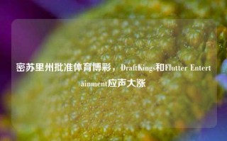 密苏里州批准体育博彩，DraftKings和Flutter Entertainment应声大涨