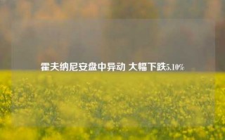 霍夫纳尼安盘中异动 大幅下跌5.10%