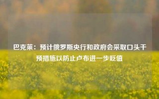 巴克莱：预计俄罗斯央行和政府会采取口头干预措施以防止卢布进一步贬值