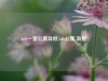 loft一室公寓装修,loft公寓 装修