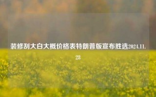 装修刮大白大概价格表特朗普版宣布胜选2024.11.28