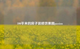 100平米的房子装修效果图passion