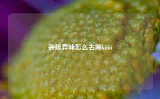 装修异味怎么去除kimi