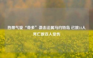 热带气旋“奇多”袭击法属马约特岛 已致14人死亡数百人受伤