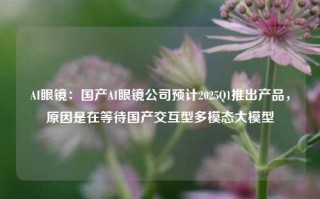 AI眼镜：国产AI眼镜公司预计2025Q1推出产品，原因是在等待国产交互型多模态大模型