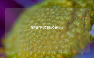 家天下装修公司wta