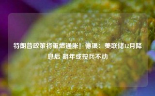 特朗普政策将重燃通胀！德银：美联储12月降息后 明年或按兵不动