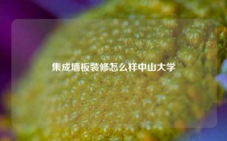 集成墙板装修怎么样中山大学