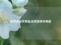 自然装修实景图,自然装修效果图