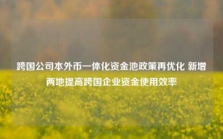 跨国公司本外币一体化资金池政策再优化 新增两地提高跨国企业资金使用效率